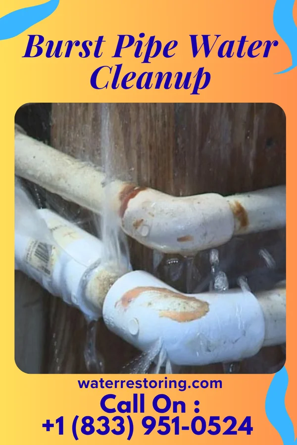 Burst Pipe Water Cleanup in Big Foot Prairie, WI