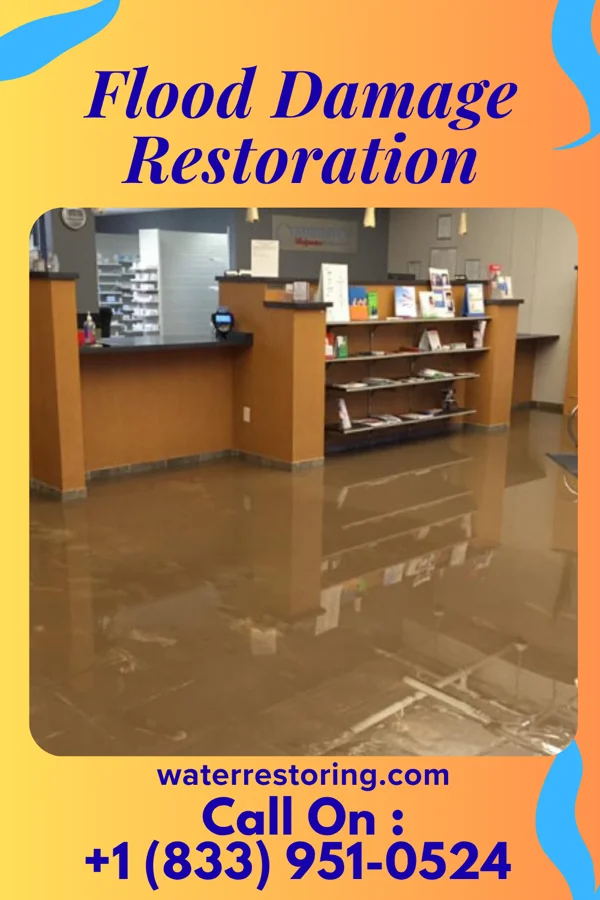 Flood Damage Restoration in Big Foot Prairie, WI