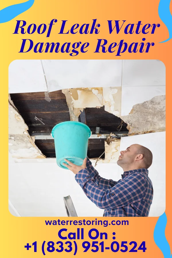 Roof Leak Water Damage Repair in Big Foot Prairie, WI