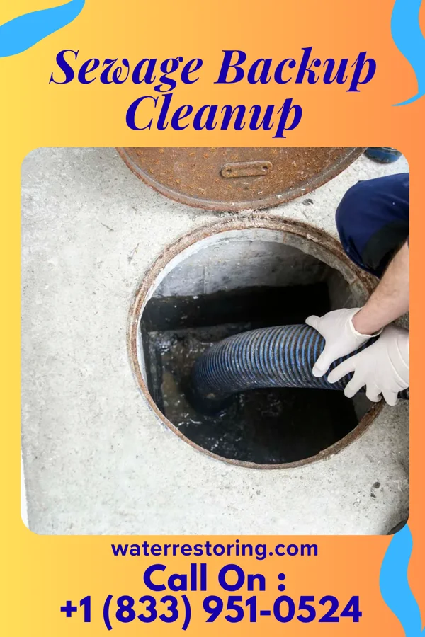Sewage Backup Cleanup in Big Foot Prairie, WI
